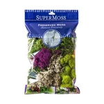 Supermoss Best Sellers Mix Spanish, Reindeer, Sheet & Lichen 2OZ Craft. Fixed Price $16.99.