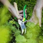 Opinel Pruner Shears Stainless Blades Green Beech Handle 001628 - Brand New. Fixed Price $81.00.
